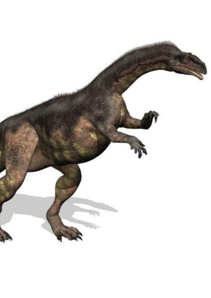 Creature Voice Effects