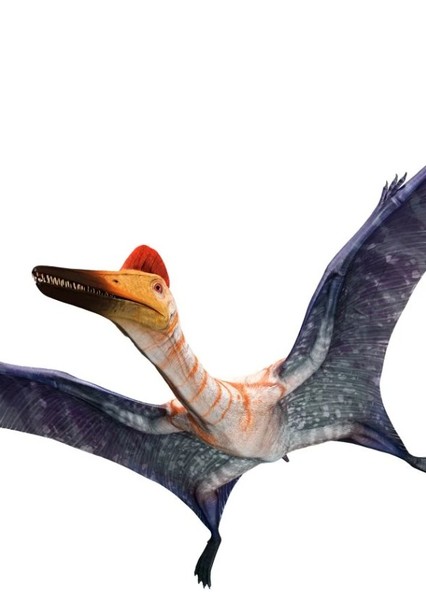 Creature Voice Effects