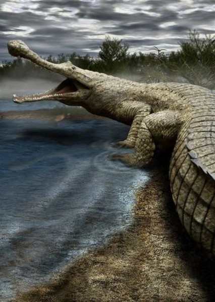 Creature Voice Effects photo