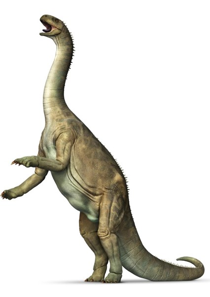 Creature Voice Effects photo