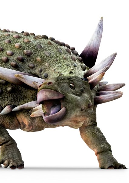Creature Voice Effects photo