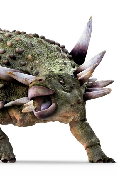 Creature Voice Effects