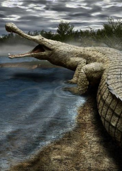 Creature Voice Effects
