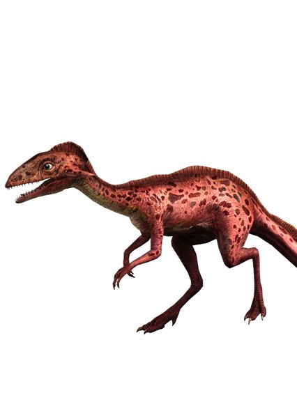 Creature Voice Effects