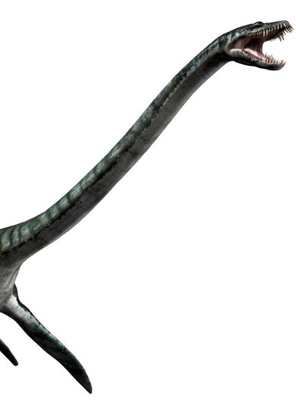 Creature Voice Effects