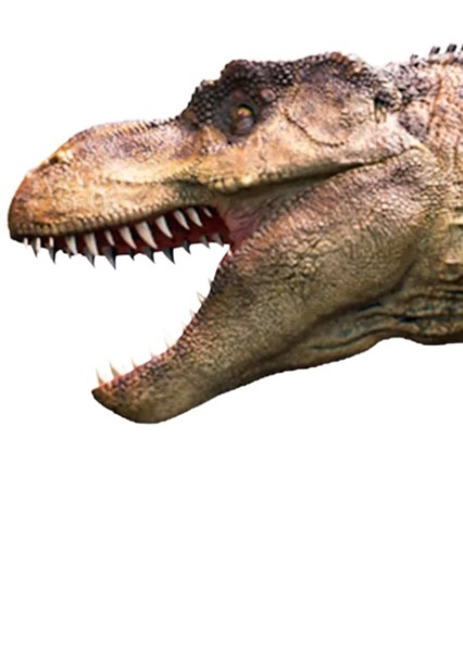 Creature Voice Effects
