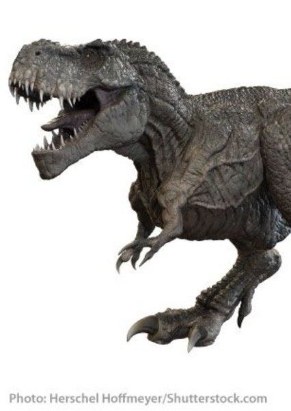 Creature Voice Effects