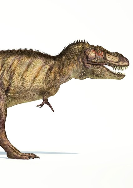 Creature Voice Effects photo