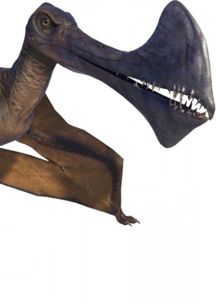 Creature Voice Effects