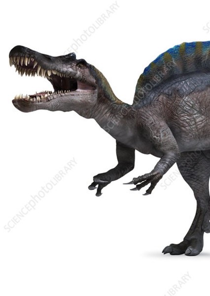 Creature Voice Effects