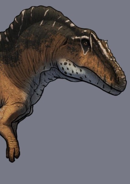 Creature Voice Effects
