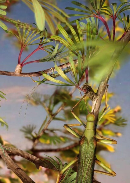 Cretophasmomima