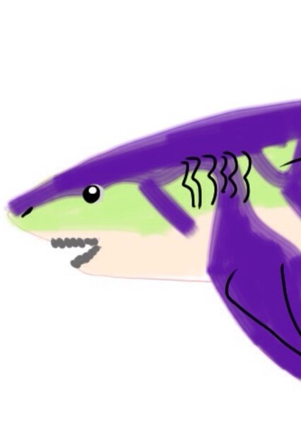 Cretoxyrhina photo