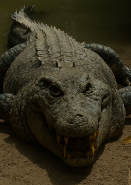 Crocodile (The Boy and the Raccoon)