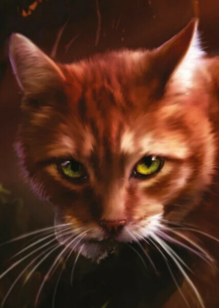 Crookedstar (Warrior Cats)