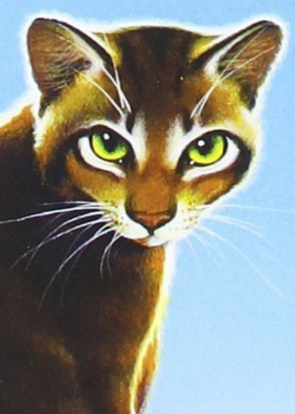 Crookedstar (Warrior Cats) photo