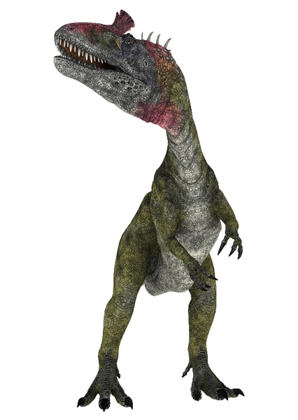 Cryolophosaurus photo