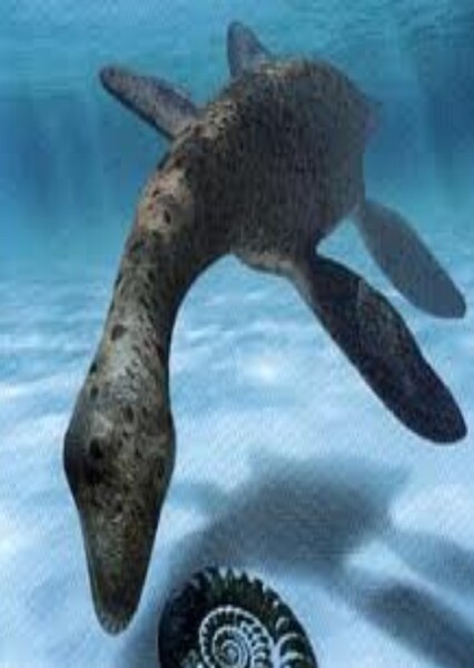 Cryptoclidus photo