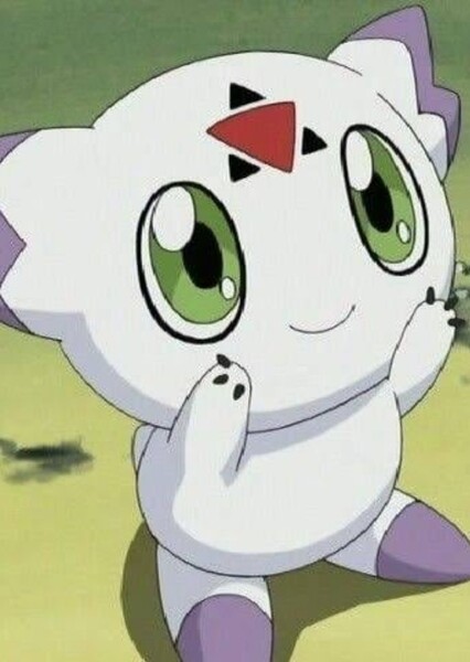 Culumon photo