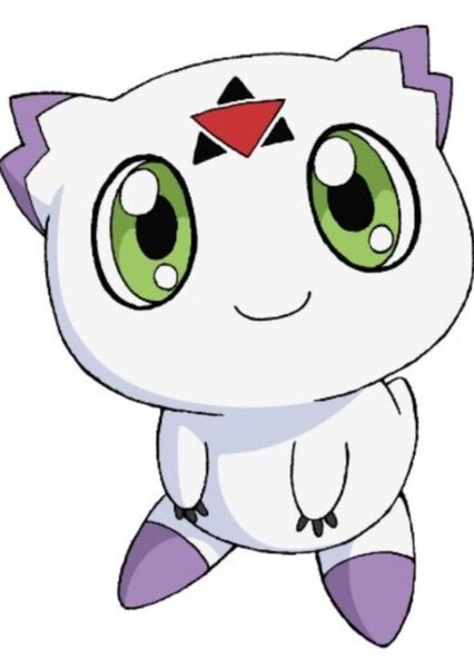 Culumon photo
