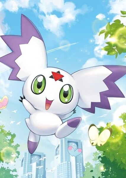 Culumon photo