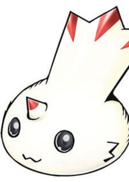 Curimon