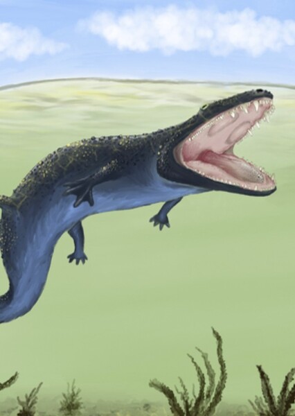 Cyclotosaurus photo