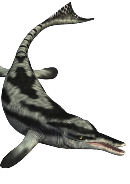 Cymbospondylus photo