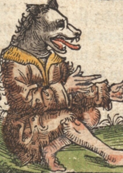 Cynocephali