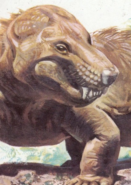 Cynognathus photo