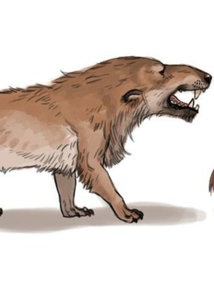 Cynognathus photo