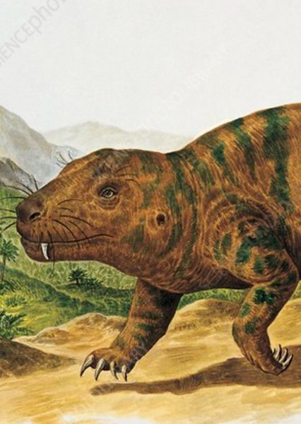 Cynognathus