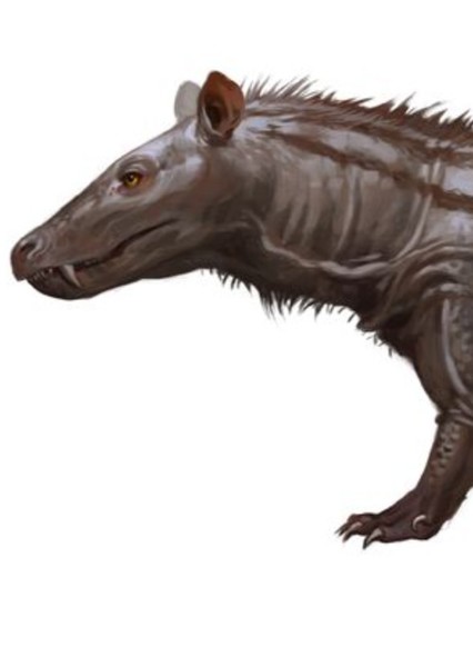 Cynognathus photo