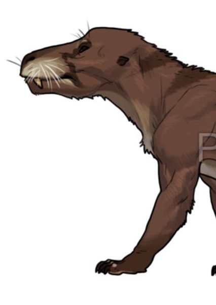 Cynognathus photo