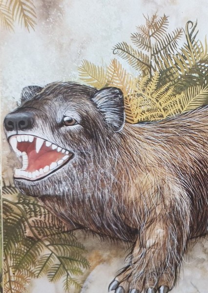 Cynognathus photo