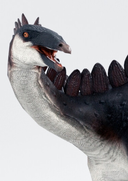 Dacentrurus photo