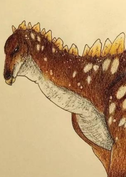 Dacentrurus photo