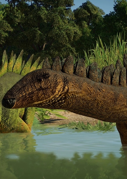 Dacentrurus photo