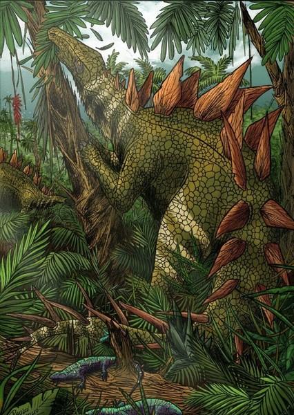 Dacentrurus photo
