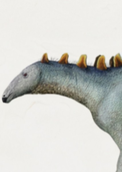 Dacentrurus photo