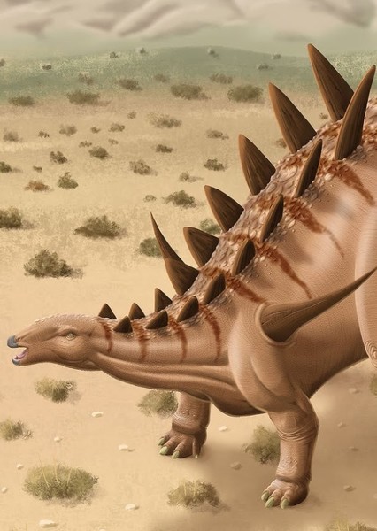 Dacentrurus photo