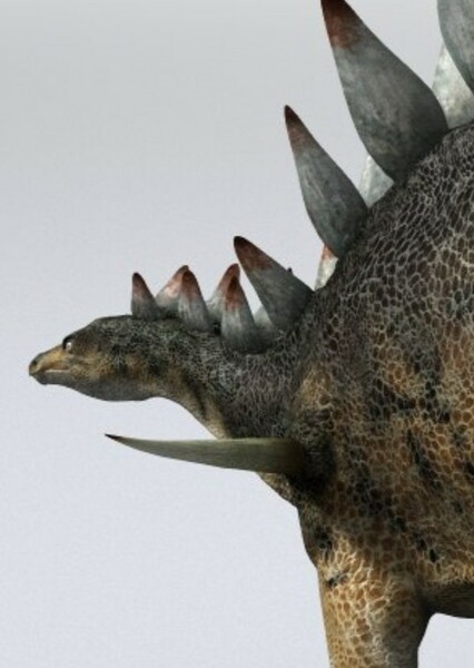 Dacentrurus photo