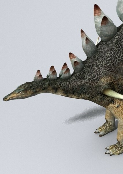 Dacentrurus photo