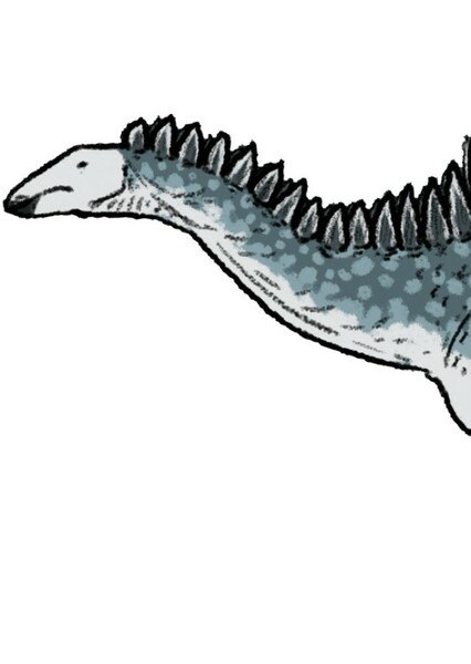 Dacentrurus photo