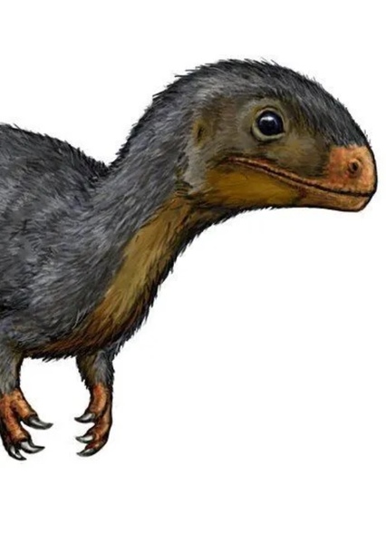 Daemonosaurus photo