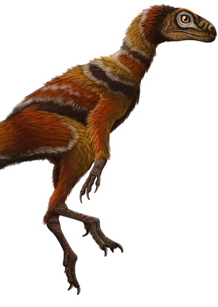 Daemonosaurus photo