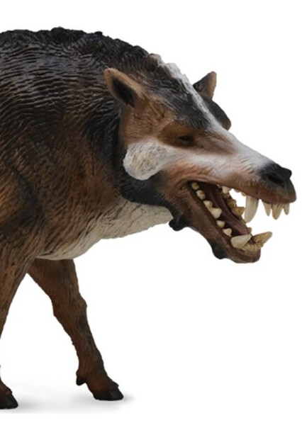 Daeodon