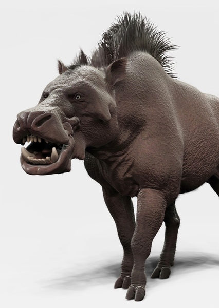 Daeodon photo