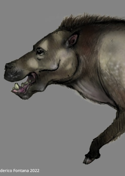 Daeodon photo