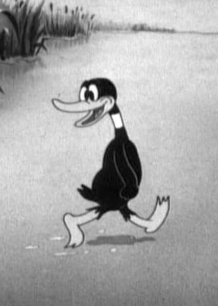 Daffy Duck photo